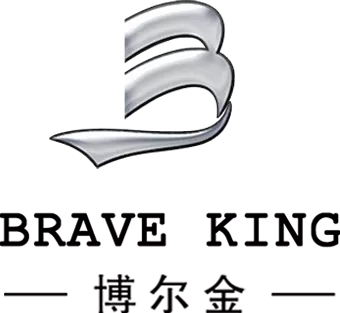 博尔金激光logo