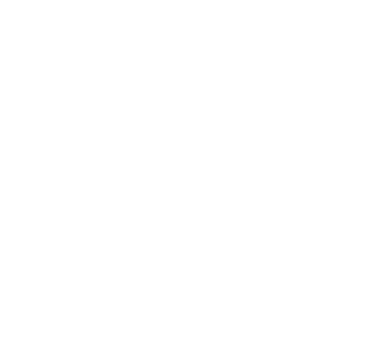公司成立时间（年）